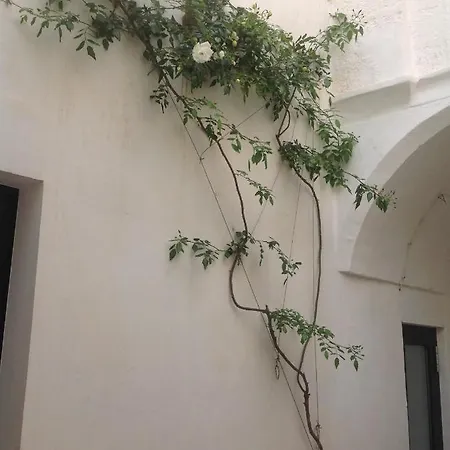 Palazzo Dei Veneziani *